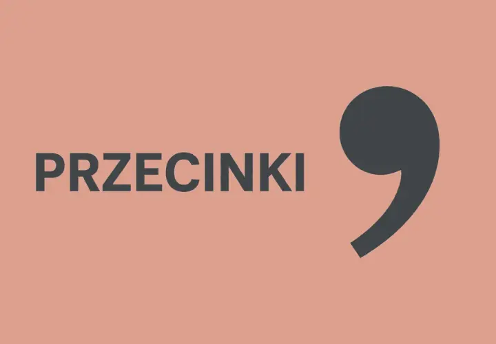 Duży, ciemnoszary przecinek obok napisu "PRZECINKI".