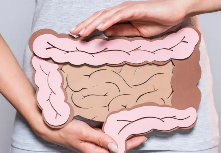 Dłonie obejmują model jelit, symbolizujący problemy trawienne, takie jak śluz w kale.