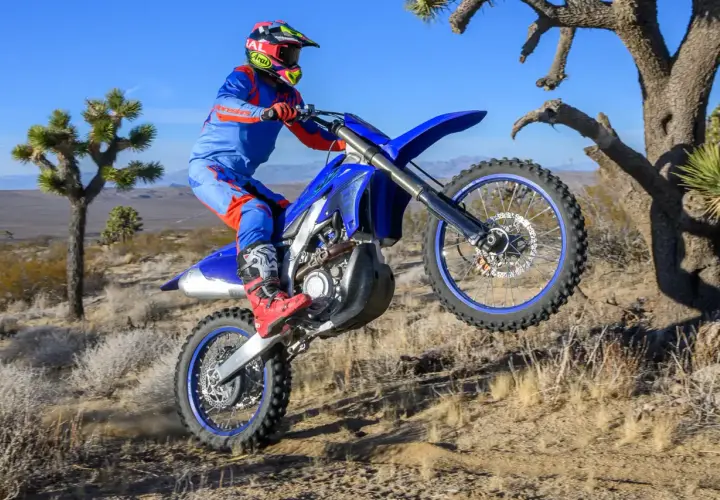 Motocyklista w stroju Alpinestars A-10 wykonuje wheelie na pustynnym terenie, w tle drzewa Jozuego.