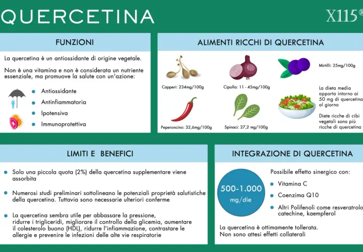 La quercetina, un antiossidante vegetale, offre numerosi benefici per la salute, tra cui proprietà antinfiammatorie e immunoprotettive.