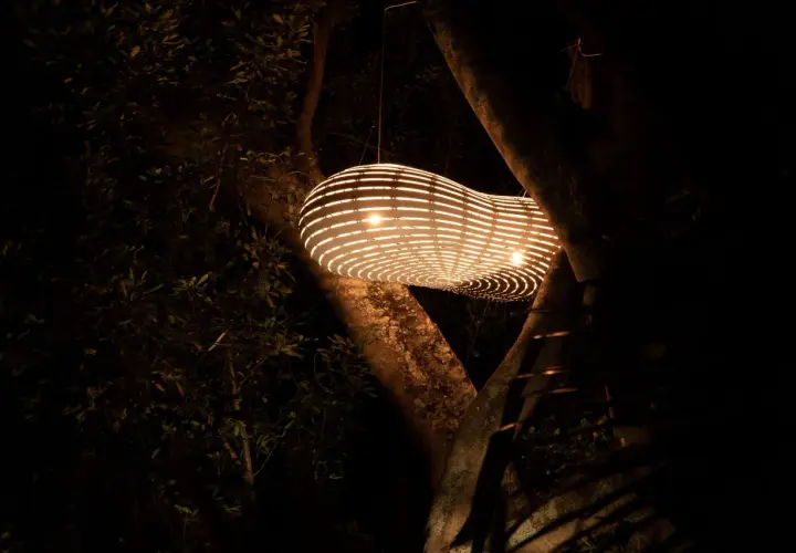 Lámpara colgante de bambú iluminada, suspendida entre árboles oscuros.