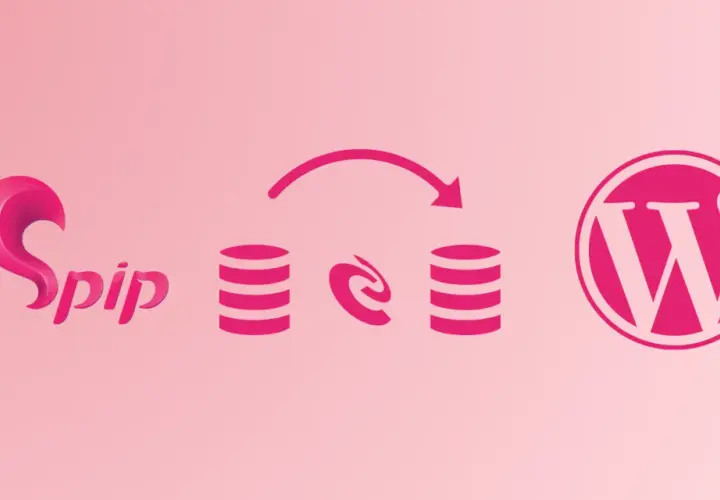 Migration de SPIP vers WordPress : icônes de bases de données reliées par une flèche, symbolisant le transfert de données.