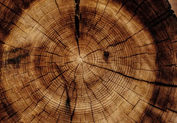 Impregnacja drewna – skuteczna ochrona na lata