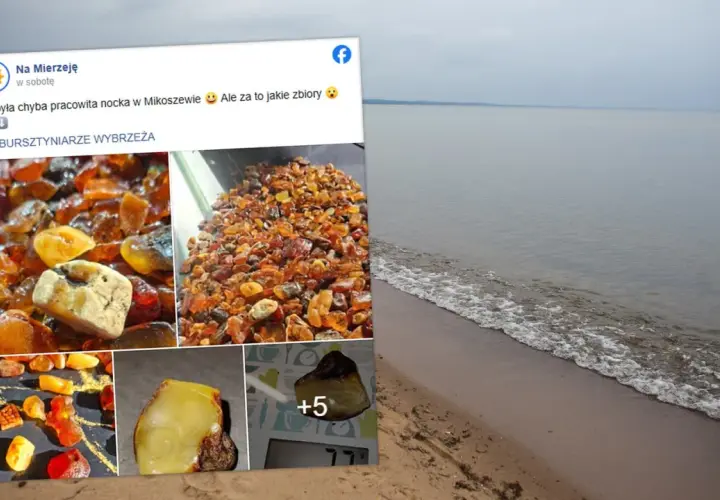 Wspaniałe zbiory bursztynu z polskiego wybrzeża. Właśnie tak wygląda miejsce, gdzie szukać bursztynu w Polsce.