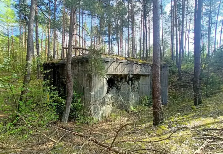 Opuszczony bunkier w lesie, zniszczony przez czas i wojnę. Jego betonowa konstrukcja nosi ślady dawnych walk, świadcząc o historycznym urazie.