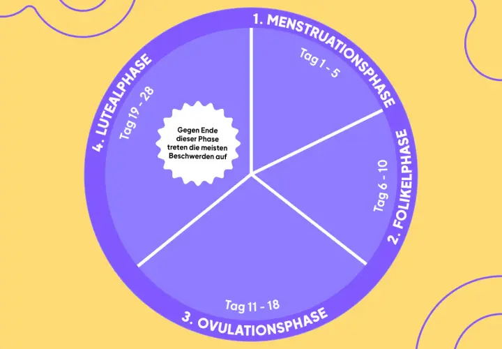 Kreisdiagramm zeigt den weiblichen Zyklus: Menstruation, Follikel-, Ovulations- und Lutealphase. Gegen Ende der Lutealphase treten oft Beschwerden auf.