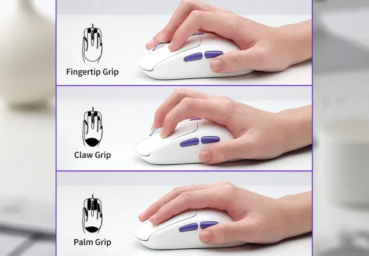 Drei Hände halten eine weiße Maus: Fingertip Grip, Claw Grip und Palm Grip.