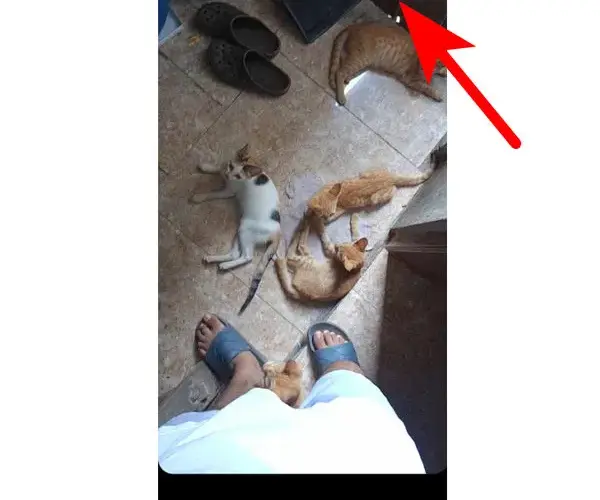 Jak dodać muzykę do relacji na Instagramie na iPhone bez problemów