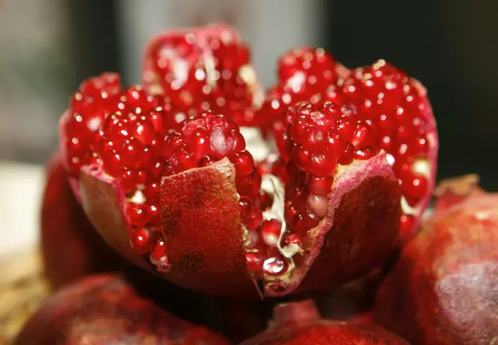 Ein aufgeschnittener Granatapfel mit saftigen roten Kernen. Die **Granatapfelextrakt Wirkung** ist bekannt für ihre antioxidativen Eigenschaften.