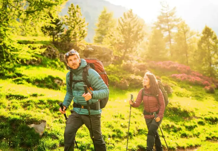 Karpaty - jaki to typ gór i co warto o nich wiedzieć?