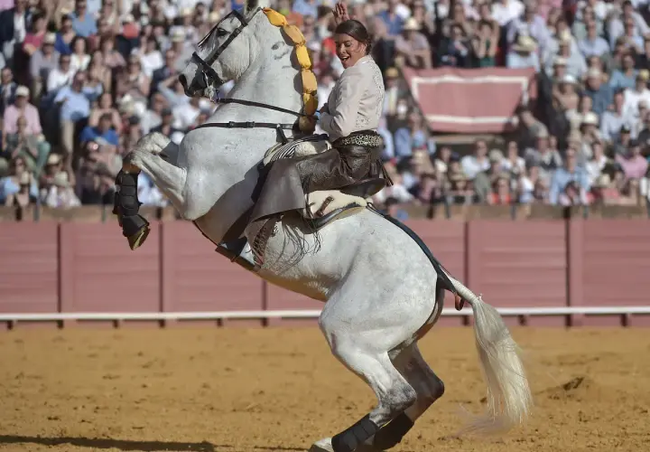 Lea Vicens, jinete en un caballo blanco encabritado, saluda a la multitud en una plaza de toros.