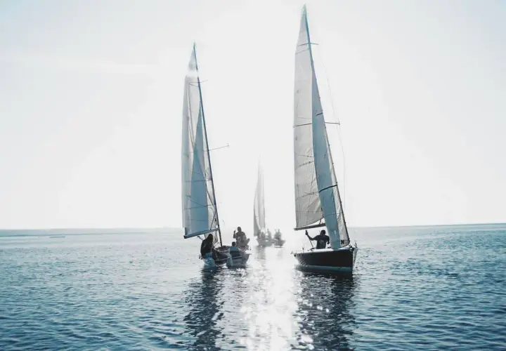 Varios veleros navegan en un día soleado. Es como soñar con barco, con las velas blancas brillando y el agua reflejando la luz.