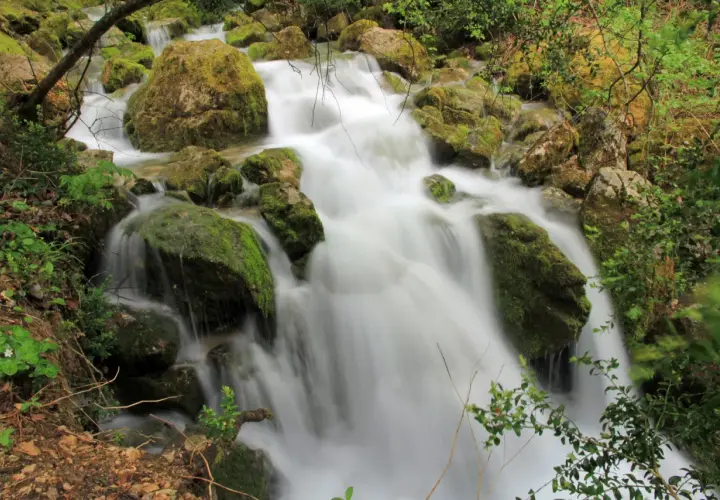 Agua blanca fluye sobre rocas cubiertas de musgo en la cascada Sant Llorenç de Morunys.