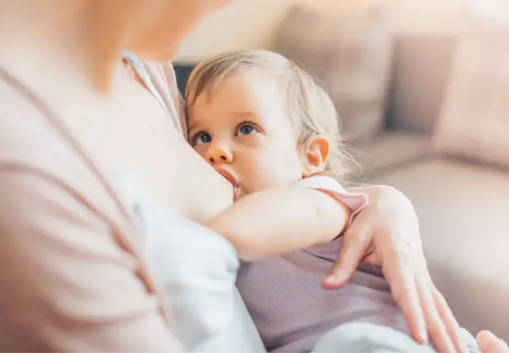 Bambina di 18 mesi allattata al seno, un momento intimo di nutrimento e amore.