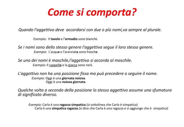 Regole per l'uso degli aggettivi: accordo con nomi multipli, genere e posizione. Esempi illustrano come gli aggettivi quantitativi cambiano.