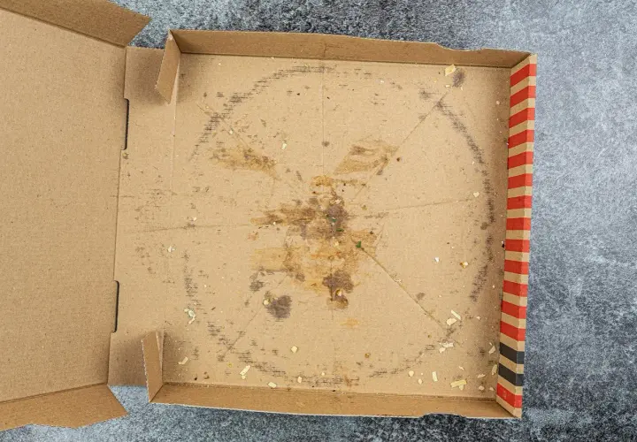 Gdzie wyrzucić pudełko po pizzy? Segregacja krok po kroku
