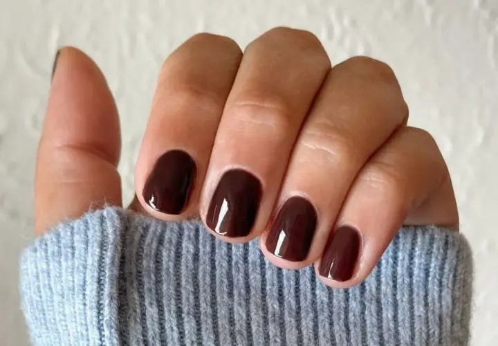 Mörka, glansiga naglar i en djupbrun nyans. Perfekt naglar inspiration för en elegant höstlook.