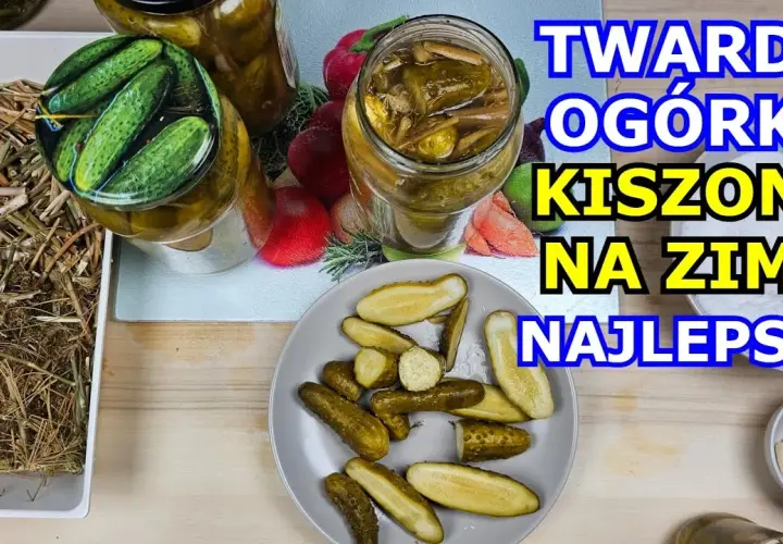 Jak zrobić ogórki kiszone żeby były twarde i chrupiące bez błędów