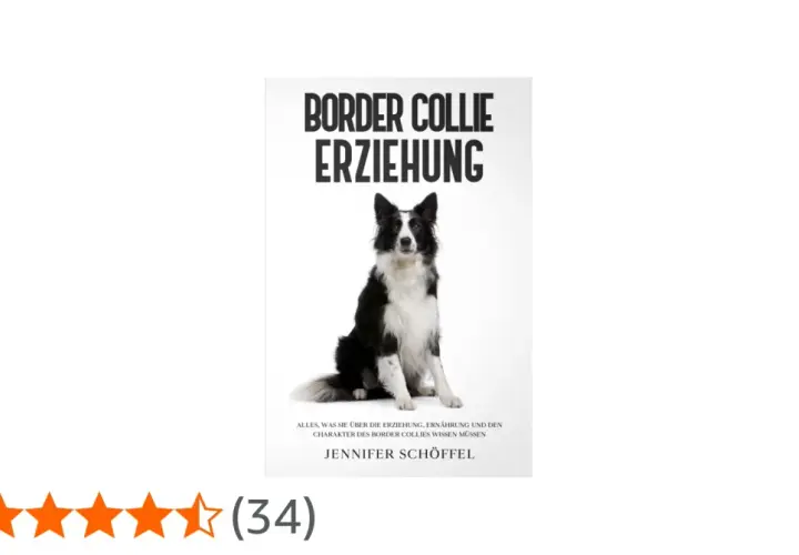 Ein Border Collie sitzt aufmerksam. Das Buch "Border Collie Erziehung" erklärt alles über den Charakter und die Haltung dieser intelligenten Hunde.