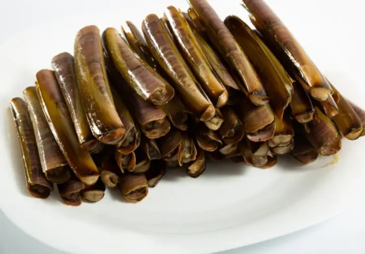 Un plato blanco lleno de navajas animal, listas para ser cocinadas.