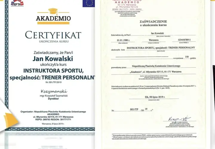 Jak zostać asystentem kynologicznym: kompletny kurs od podstaw