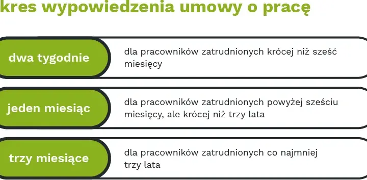 Staż a umowa o pracę: kluczowe różnice i Twoje prawa