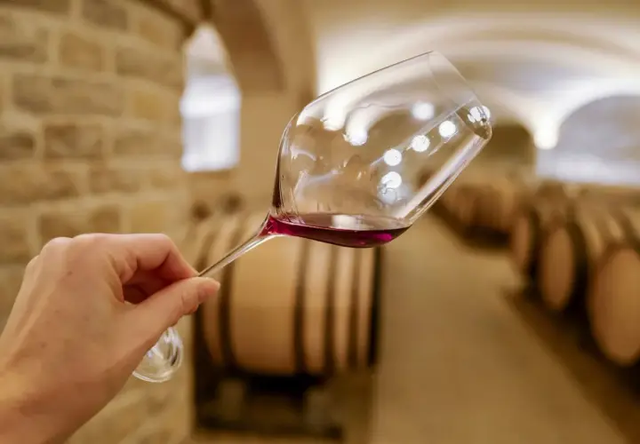 Verre de vin rouge tenu dans une cave à vin de Dijon, avec des tonneaux en arrière-plan. Une dégustation de vin inoubliable.