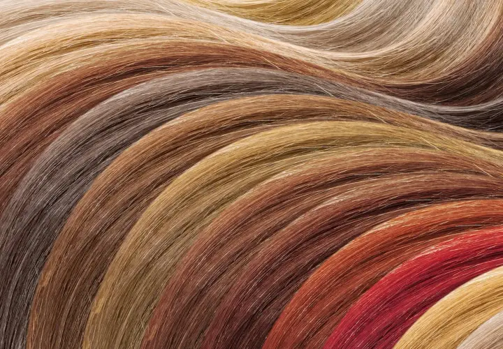 Una gama de 13 tonos de pelo que rejuvenecen, desde rubios ceniza hasta cobrizos intensos y castaños cálidos, dispuestos en curvas suaves.