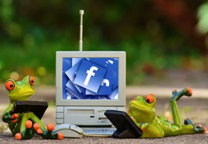 Dwie żaby uczą się, jak zagadać do dziewczyny na Messengerze, patrząc na ekran z ikonami Facebooka.