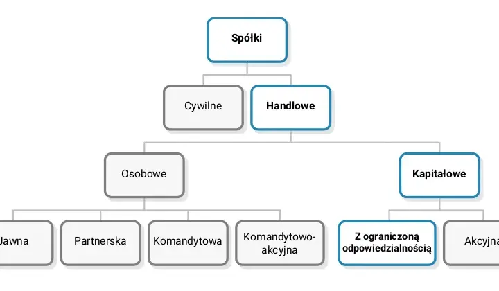 Spółka z ograniczoną odpowiedzialnością co to? Kluczowe informacje i wady