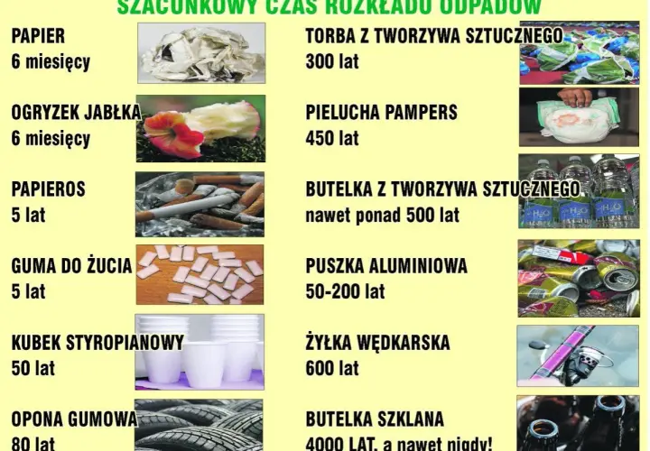 Papier rozkłada się 6 miesięcy. Tabela pokazuje szacunkowy czas rozkładu różnych odpadów, od papieru po butelki szklane.