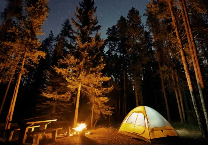 Nocny camping w Górach Stołowych. Rozświetlony namiot i ognisko w lesie pod rozgwieżdżonym niebem.