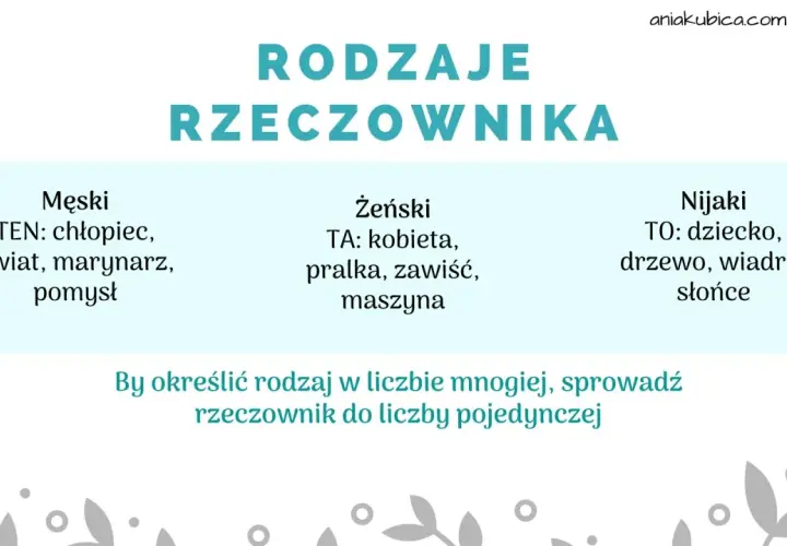 Rodzaje rzeczownika: męski (ten), żeński (ta), nijaki (to). Przykłady: chłopiec, kobieta, dziecko.