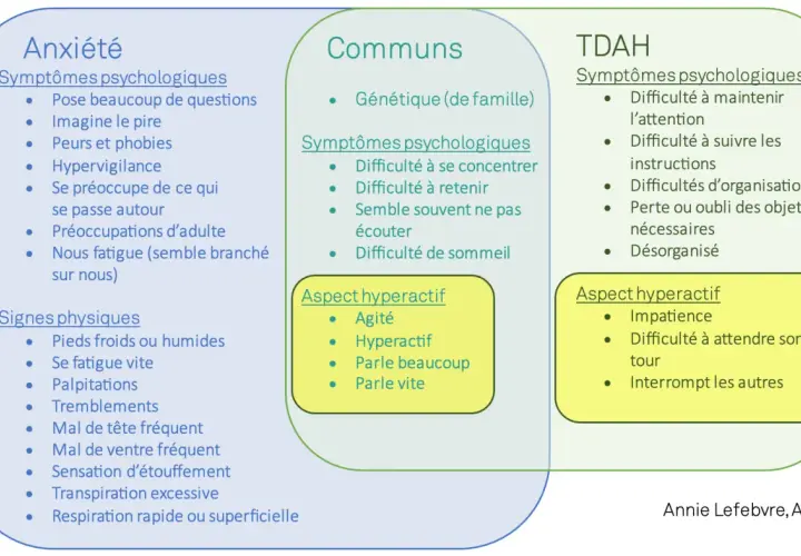 Schéma comparant l'anxiété, les points communs et le TDAH. Le manque de concentration est un symptôme psychologique partagé.