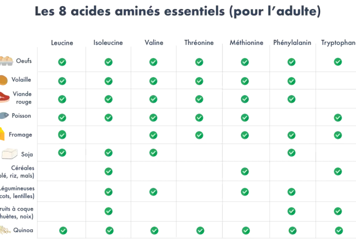 Tableau montrant a quoi servent les acides aminés essentiels, avec des aliments comme les œufs, la viande et le soja.