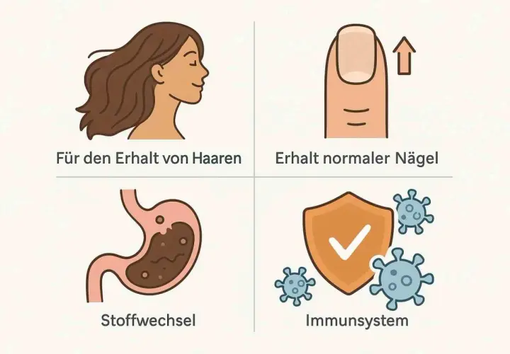 Biotinmangel Symptome: gesunde Haare, starke Nägel, guter Stoffwechsel & Immunsystem. Illustration zeigt Frau, Nagel, Magen, Schild mit Viren.
