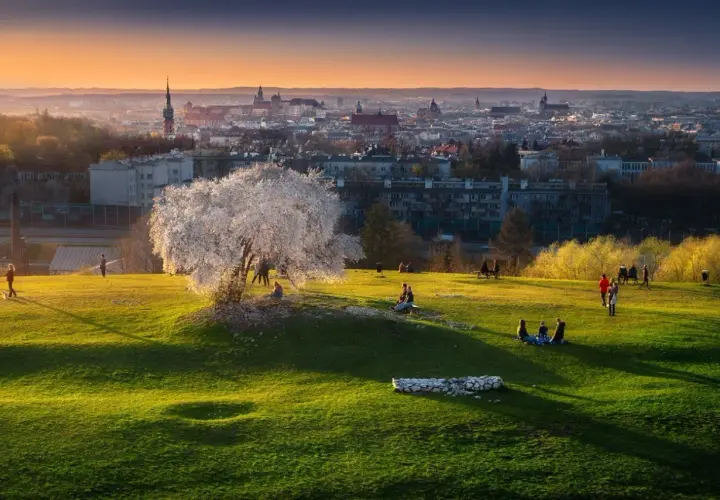 Wiosna na Kopcu Kraka. Kwitnące drzewo, ludzie odpoczywają na zielonej trawie, w tle panorama Krakowa o zachodzie słońca.