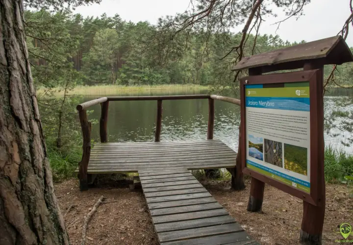 Drewniana platforma widokowa nad jeziorem Nierybno, w otoczeniu lasu. Tablica informacyjna opisuje atrakcje Bory Tucholskie.
