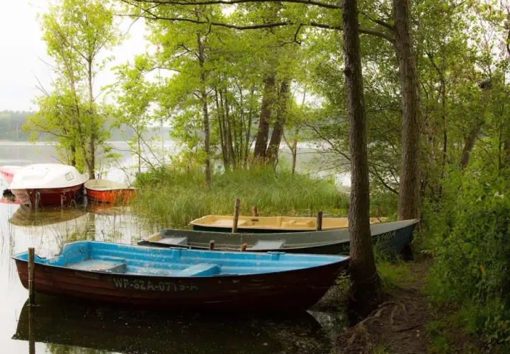 Łodzie cumujące nad jeziorem w Sierakowskim Parku Krajobrazowym.