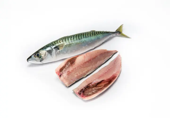 Un pescado entero y dos filetes de caballa, un pescado azul, listos para cocinar.