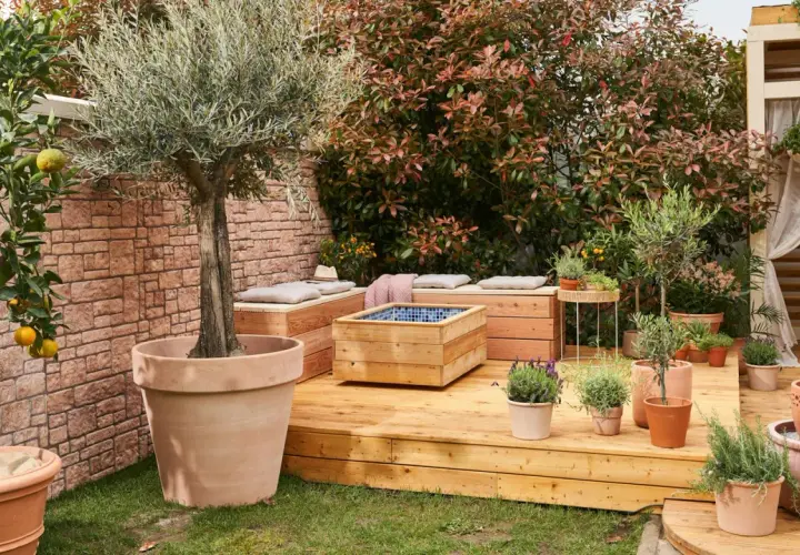 Ein idyllischer permakultur garten mit Olivenbaum, Zitruspflanze, Kräutern und Sitzgelegenheiten auf einer Holzterrasse.