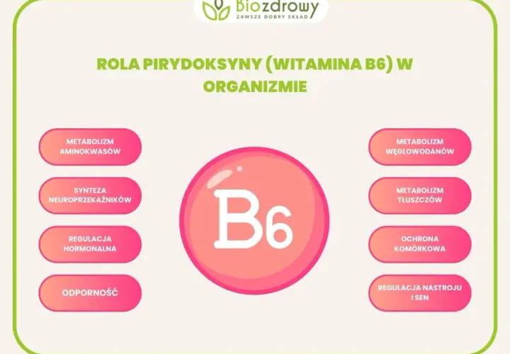 Witaj w świecie witaminy B6! Dowiedz się, na co wpływa pirydoksyna: metabolizm, synteza neuroprzekaźników, odporność, nastrój i sen.