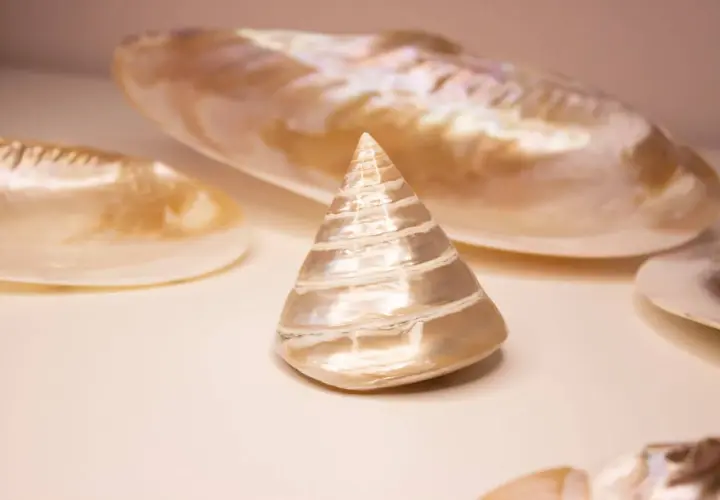 Ein kegelförmiges Perlmutt-Objekt, umgeben von größeren Muschelschalen. Die schimmernde Oberfläche des Perlmutt-Objekts symbolisiert Reinheit und Schönheit.