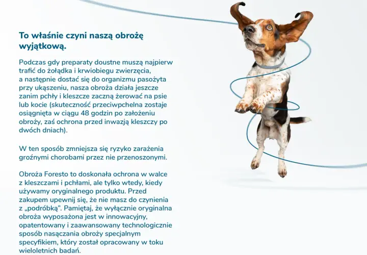 Obroża Foresto - czy jest szkodliwa dla psa i ludzi? Sprawdź ryzyko