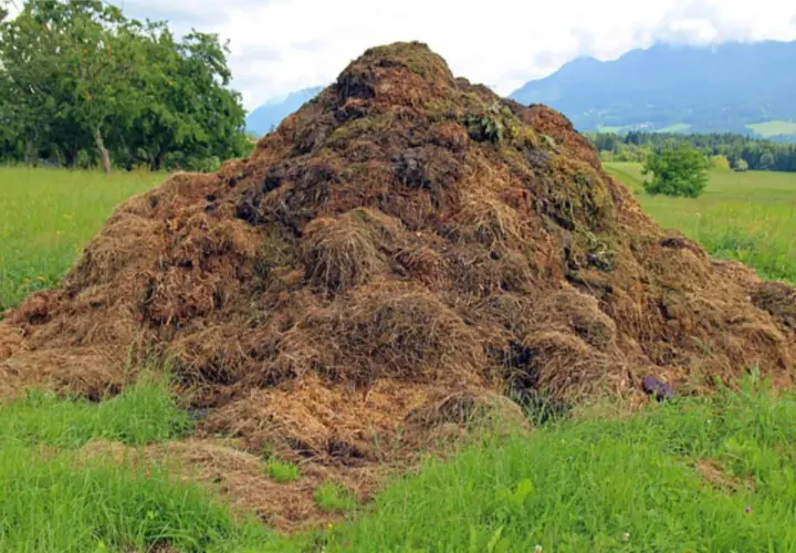 Enorme cumulo di materiale organico in un prato verde, con alberi e montagne sullo sfondo. Ricorda cosa non mettere nel compost per un risultato ottimale.