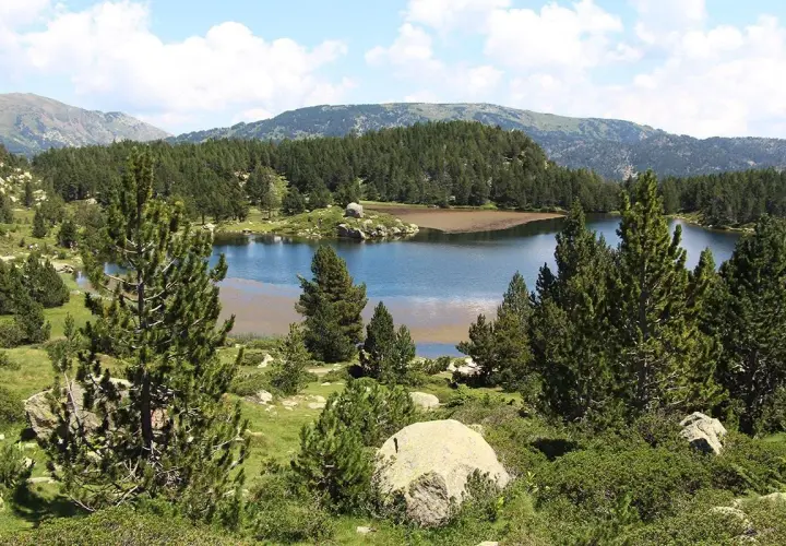 Lago sereno rodeado de pinos y montañas. El agua refleja el cielo azul con nubes algodonosas. Un paisaje idílico, casi como si las bulloses hubieran sido pintadas.