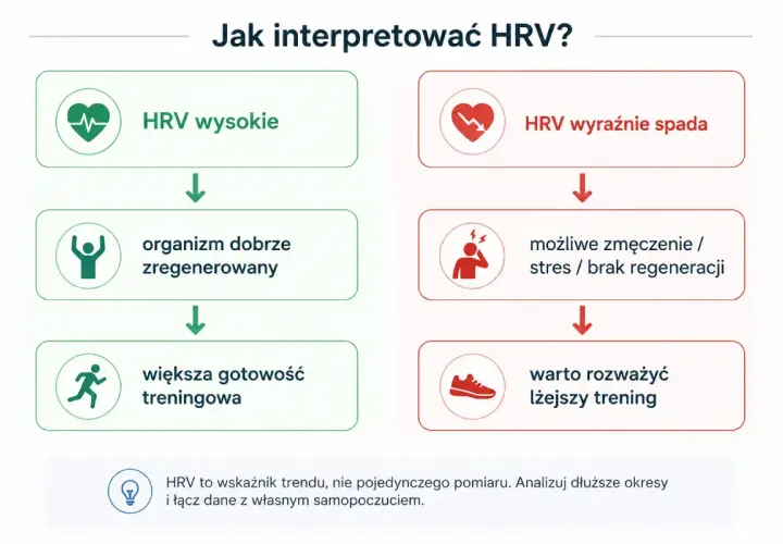 HRV wysokie oznacza dobrą regenerację i gotowość do treningu. Spadek HRV sugeruje zmęczenie, stres i potrzebę lżejszego treningu.