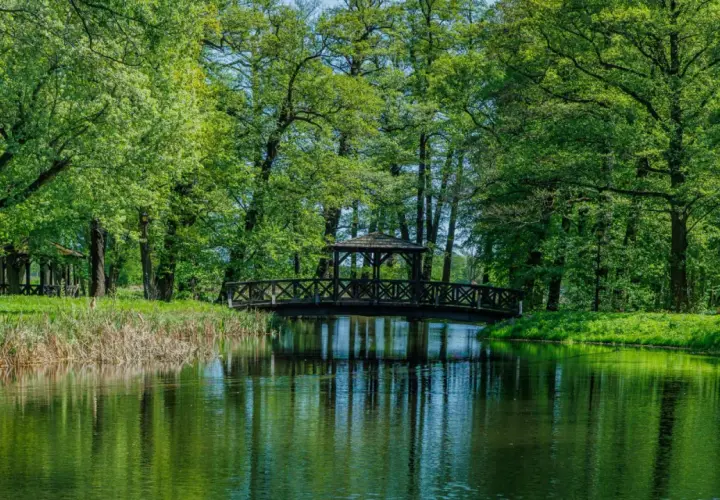 Najlepsze atrakcje w Pleszewie, które musisz zobaczyć podczas wizyty