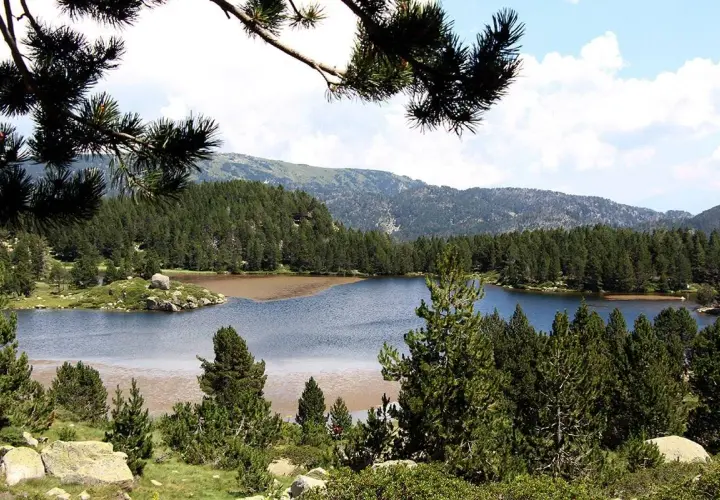 Familia disfrutando de excursiones en Cerdanya, caminando por un sendero rodeado de vegetación y árboles.