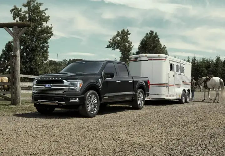 Czarny Ford F-150 Platinum holuje przyczepę z koniem na farmie.
